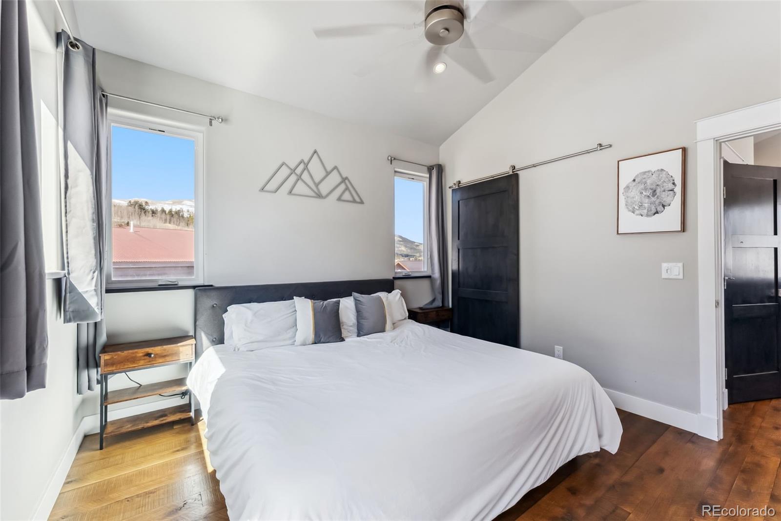 255 Flannigan Circle Alma CO 80420