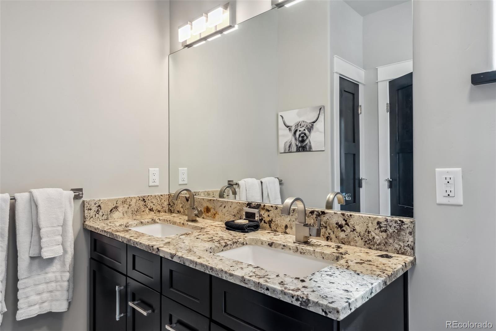 255 Flannigan Circle Alma CO 80420