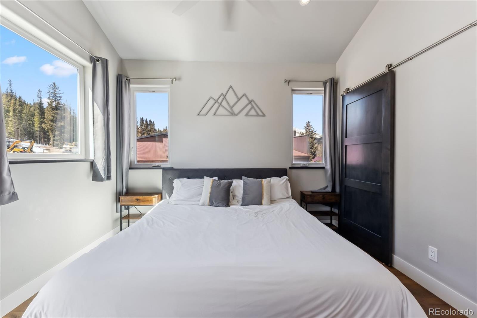 255 Flannigan Circle Alma CO 80420