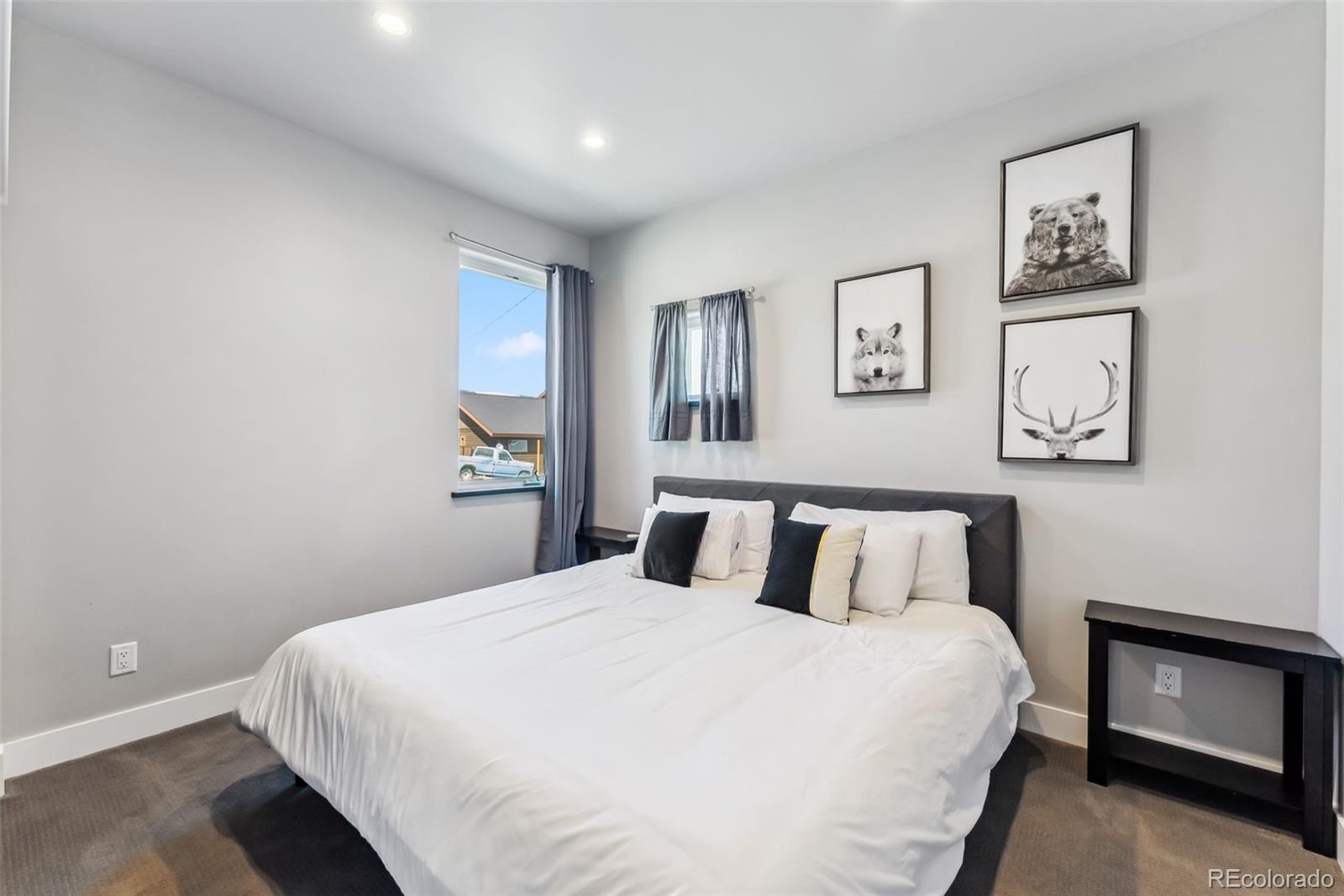 255 Flannigan Circle Alma CO 80420