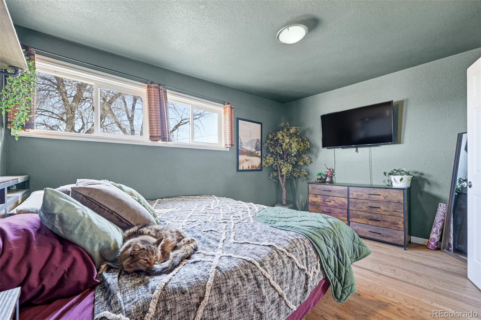 10050 W Kline Drive Denver CO 80215