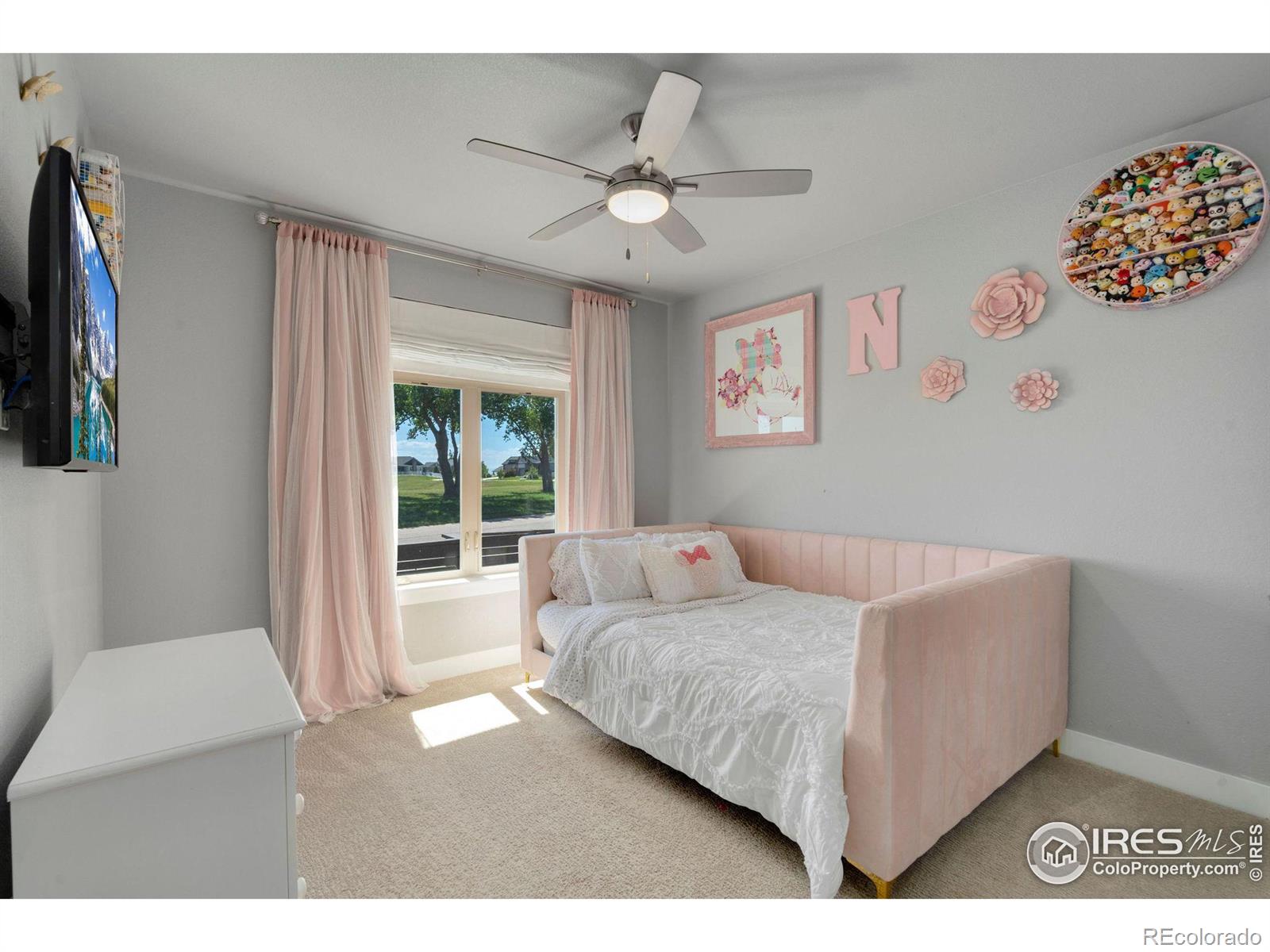 3818 Bridle Ridge Circle Severance CO 80524