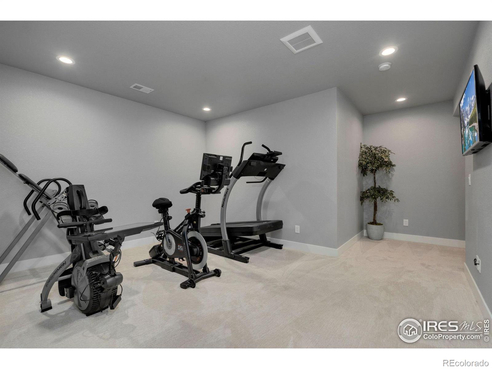 3818 Bridle Ridge Circle Severance CO 80524