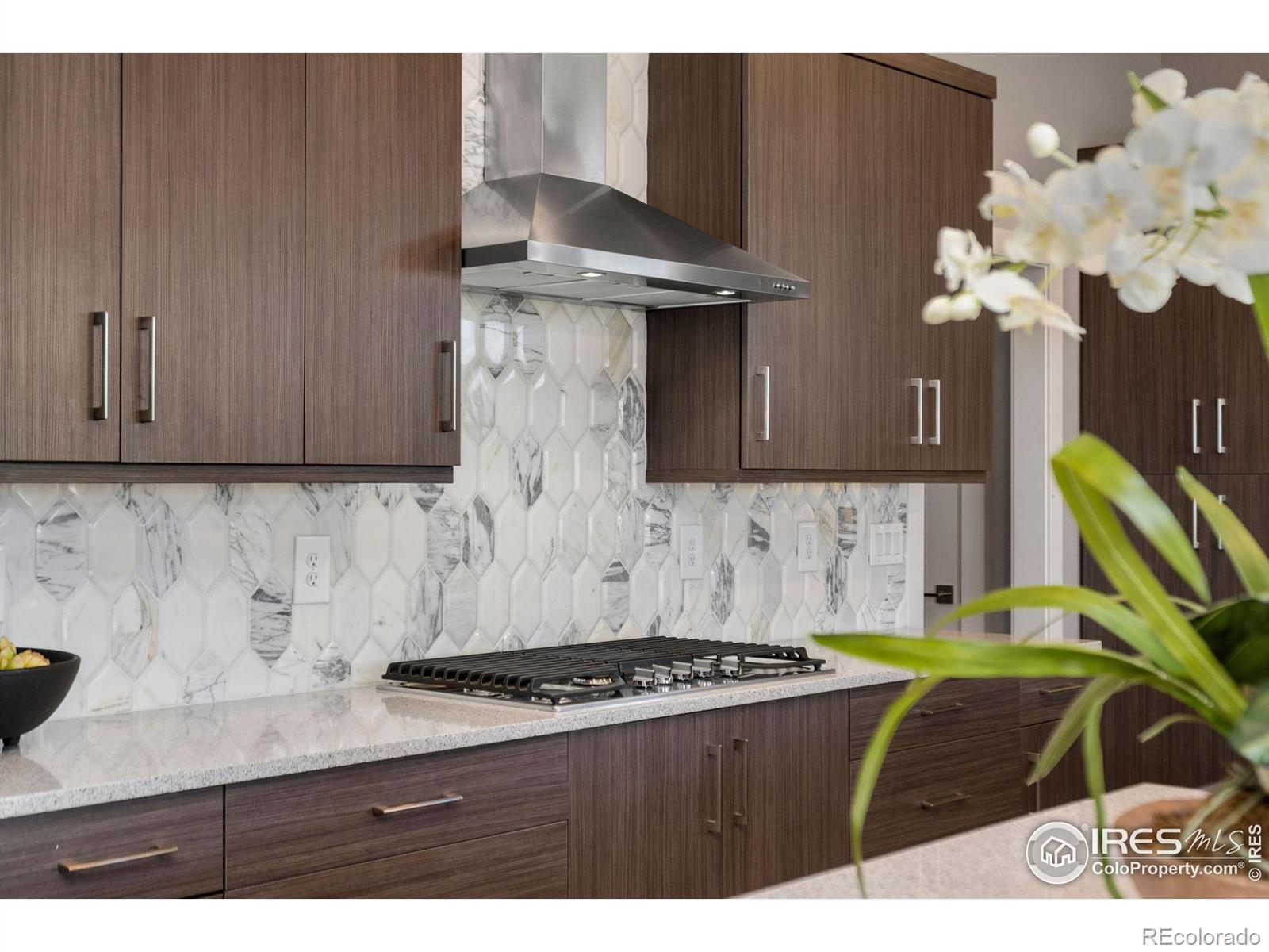 3818 Bridle Ridge Circle Severance CO 80524