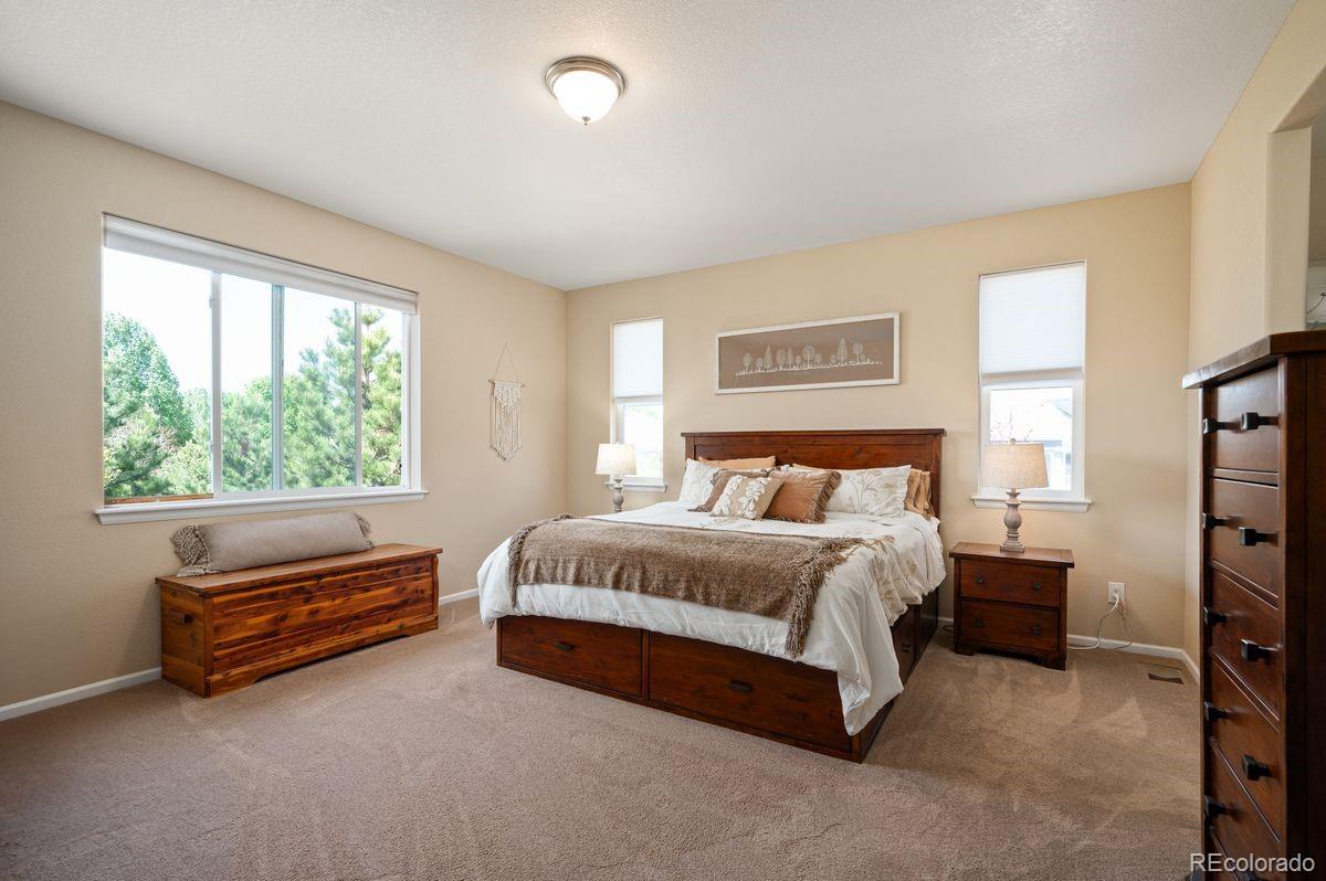18067 E Anthem Drive Parker CO 80134