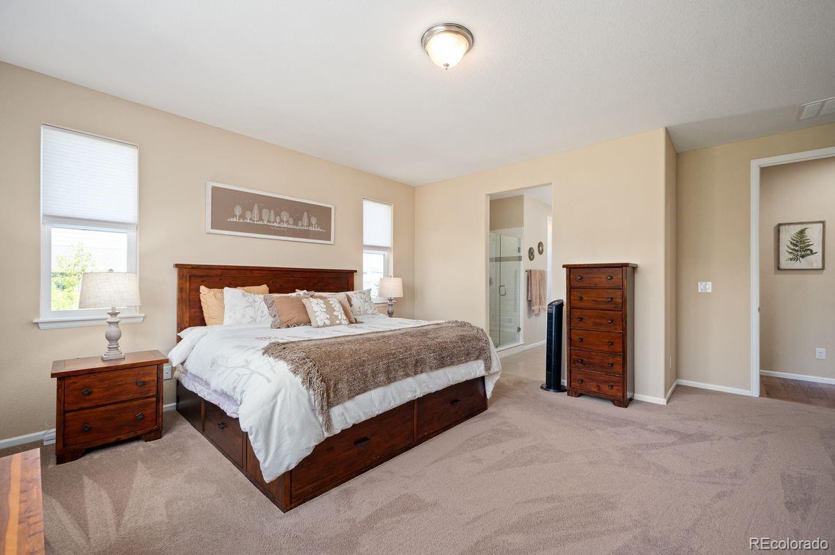 18067 E Anthem Drive Parker CO 80134