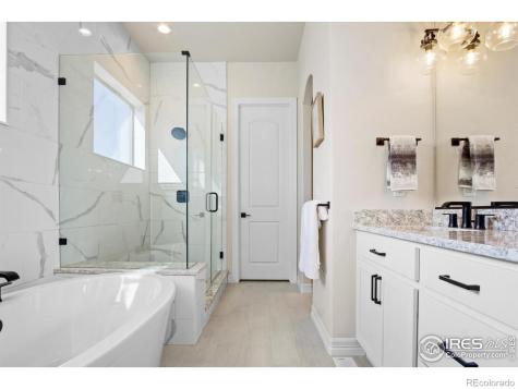 206 Blue Fortune Drive Windsor CO 80550