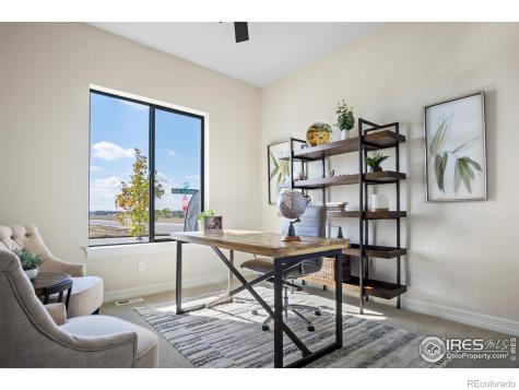 206 Blue Fortune Drive Windsor CO 80550