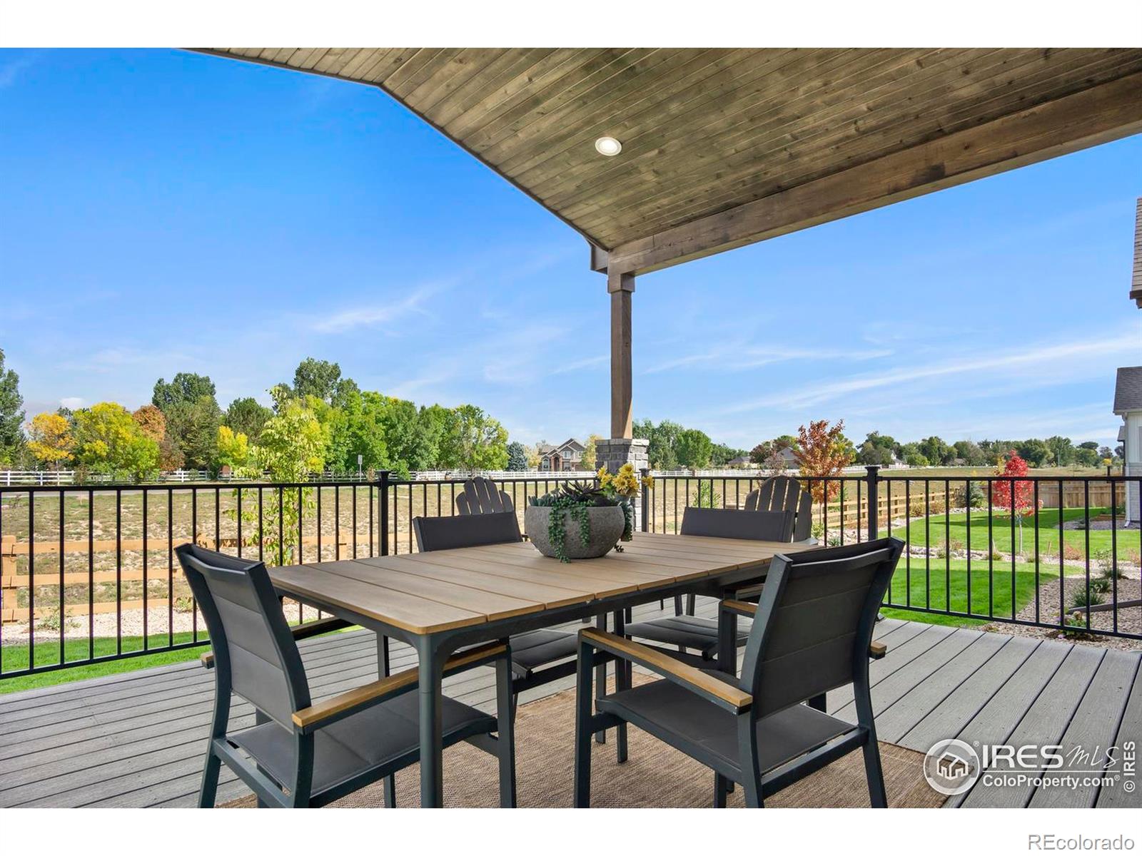 206 Blue Fortune Drive Windsor CO 80550