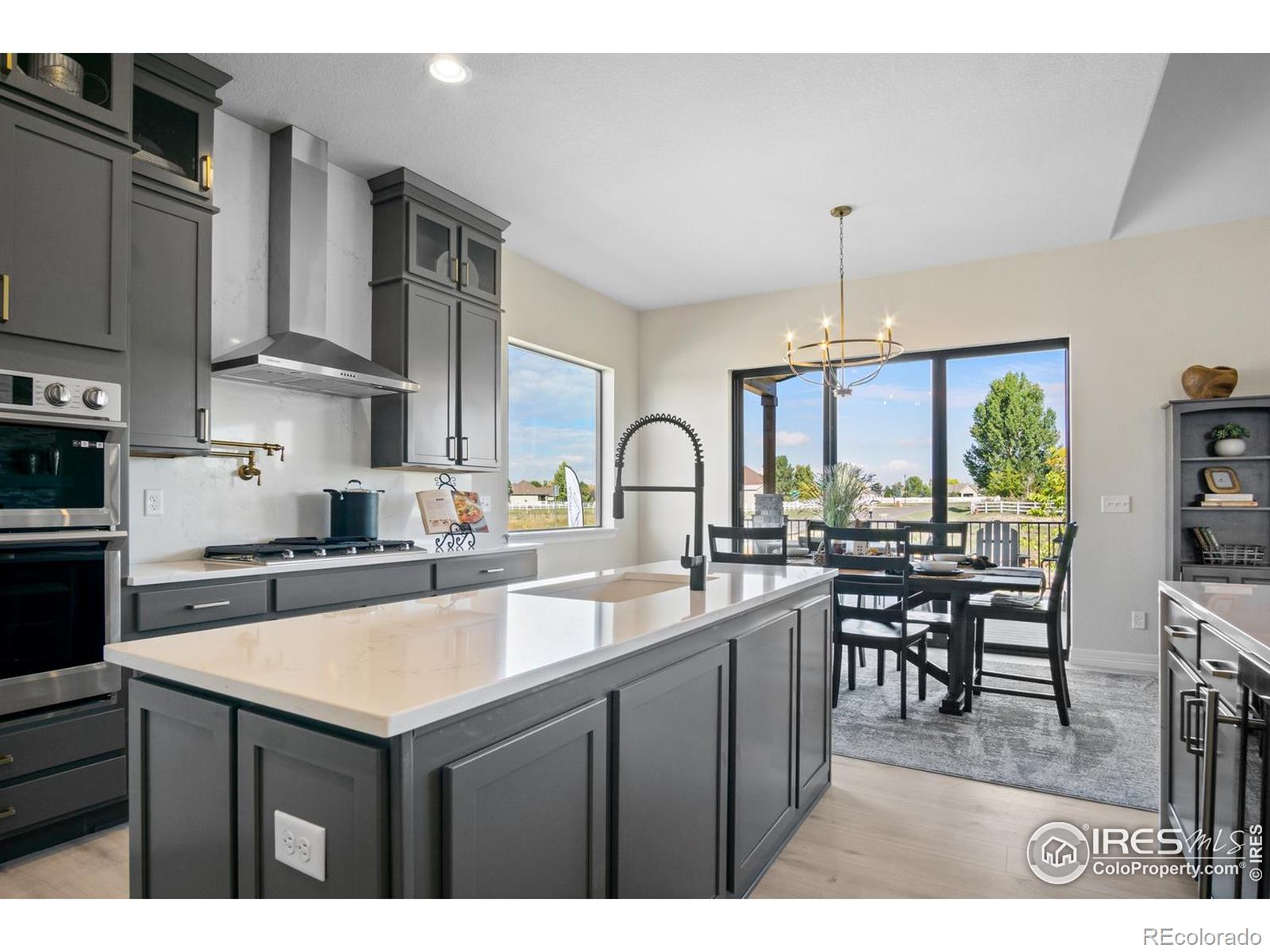 206 Blue Fortune Drive Windsor CO 80550