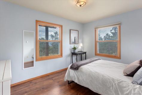 30930 West Ridge Buena Vista CO 81211