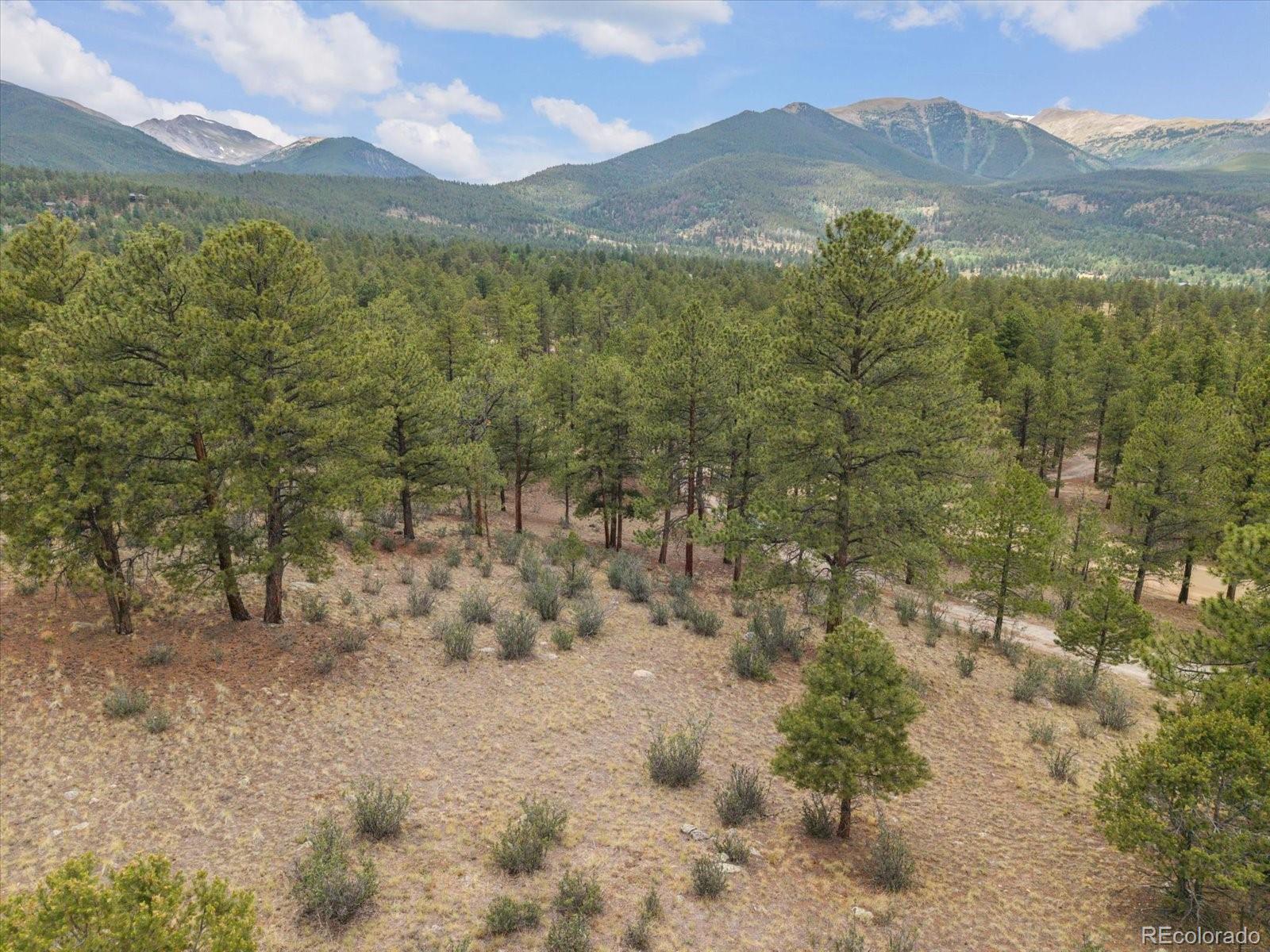 30930 West Ridge Buena Vista CO 81211