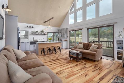 30930 West Ridge Buena Vista CO 81211