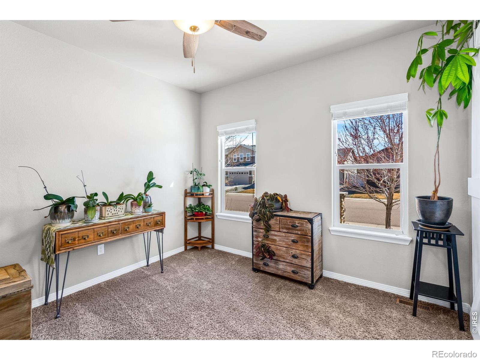 1828 Paley Drive Windsor CO 80550