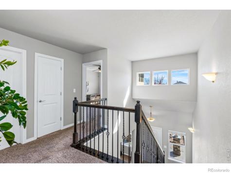 1828 Paley Drive Windsor CO 80550
