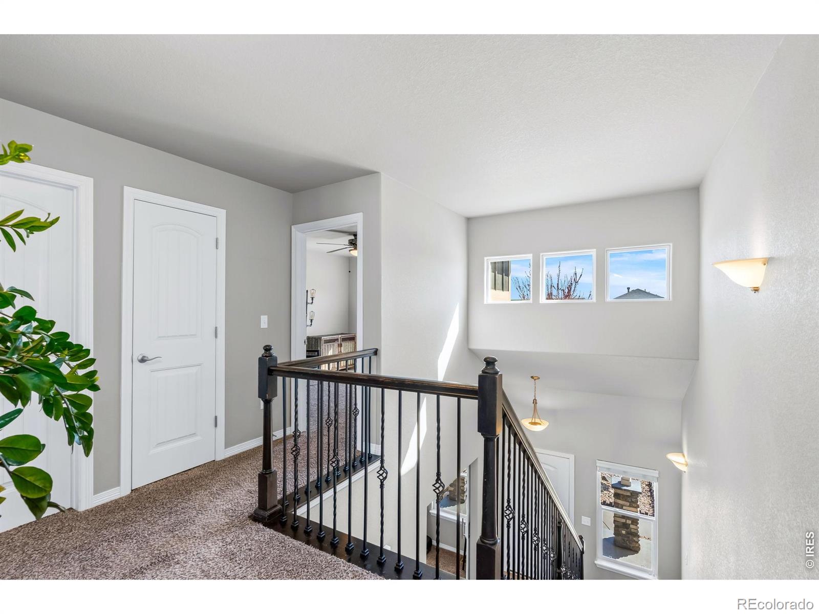 1828 Paley Drive Windsor CO 80550