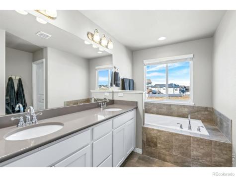 1828 Paley Drive Windsor CO 80550