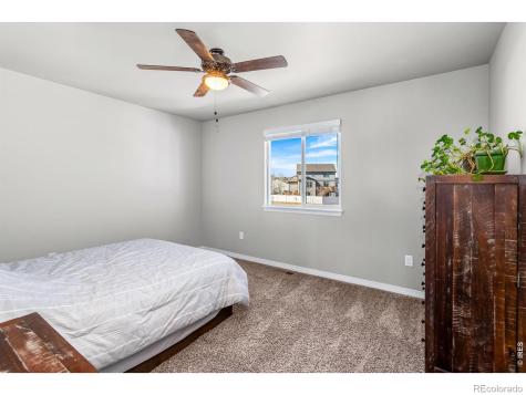 1828 Paley Drive Windsor CO 80550