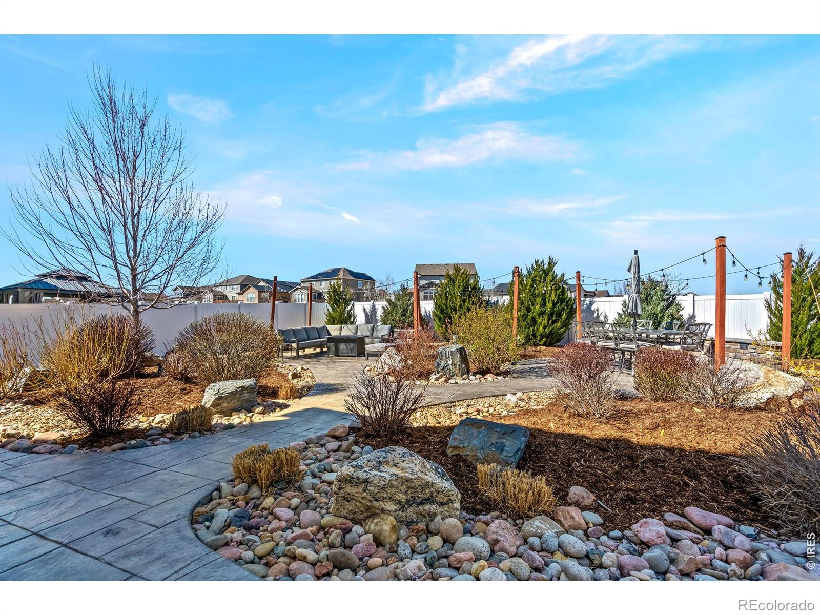 1828 Paley Drive Windsor CO 80550
