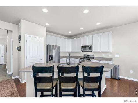 1828 Paley Drive Windsor CO 80550