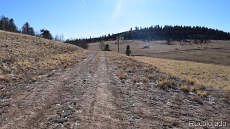 135 Navajo Trail Hartsel CO 80449