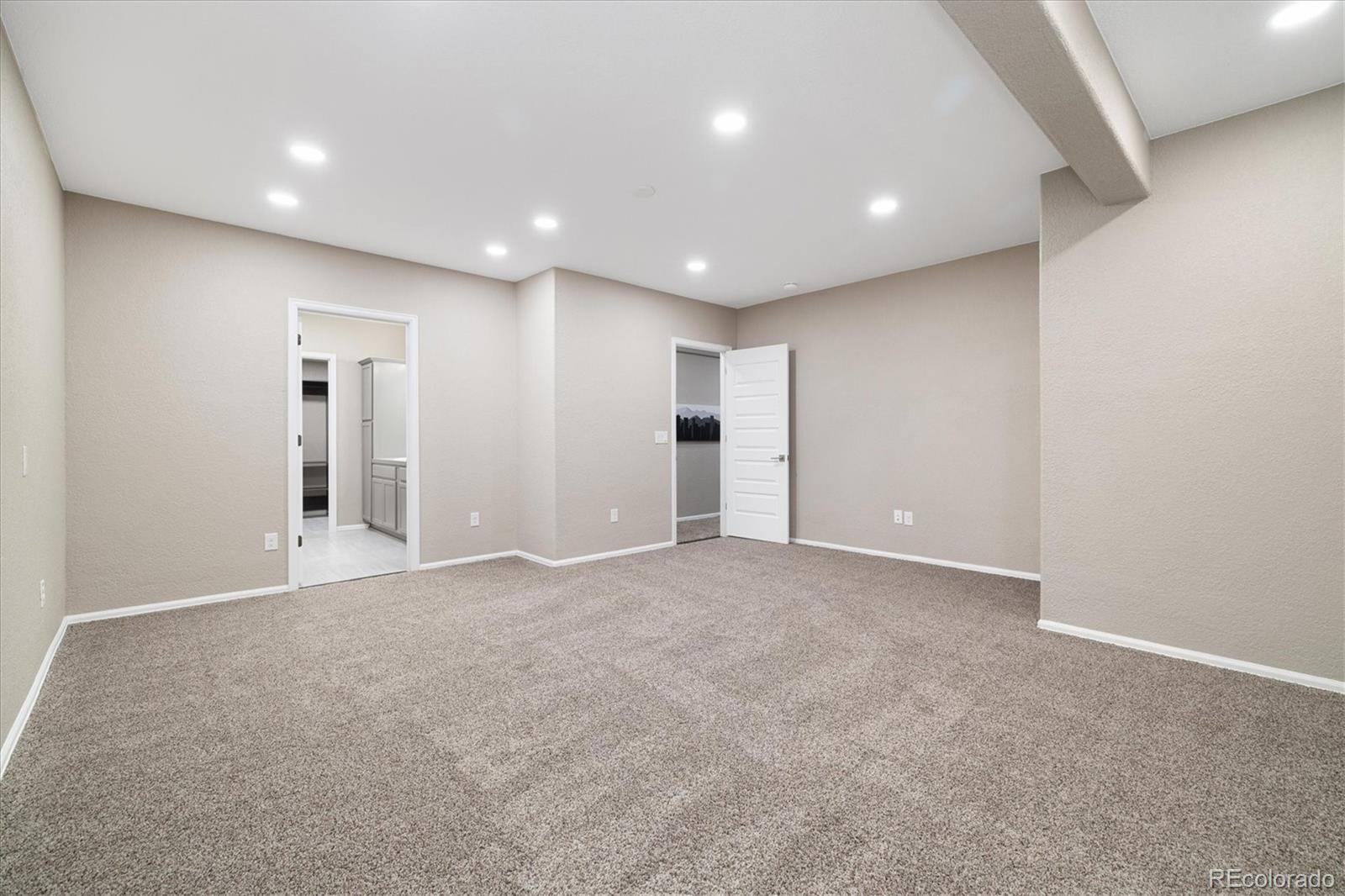6725 Mentha Drive Castle Rock CO 80108