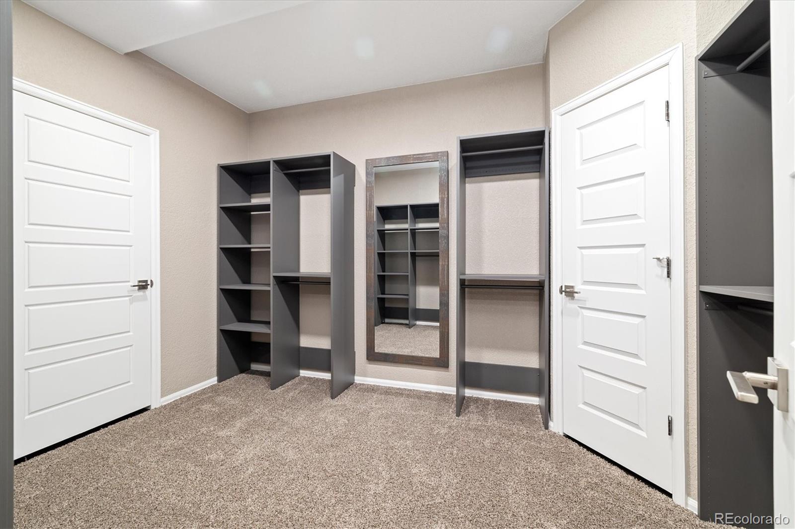 6725 Mentha Drive Castle Rock CO 80108