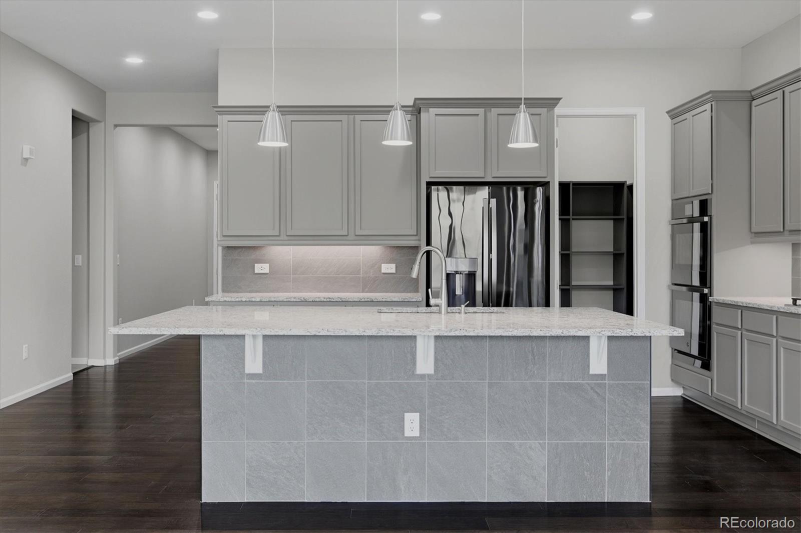 6725 Mentha Drive Castle Rock CO 80108