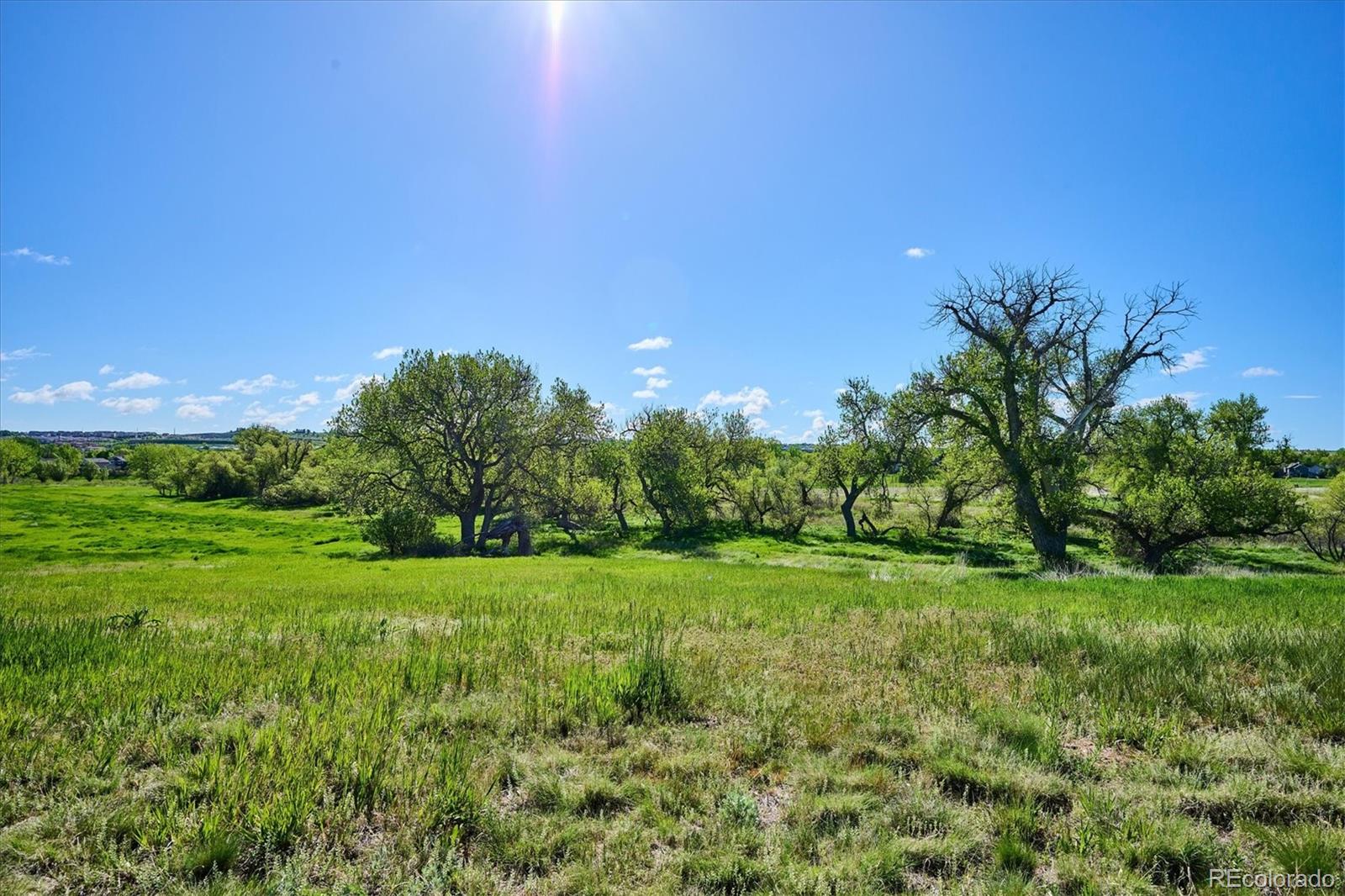 12657 Buckhorn Creek Street Parker CO 80134