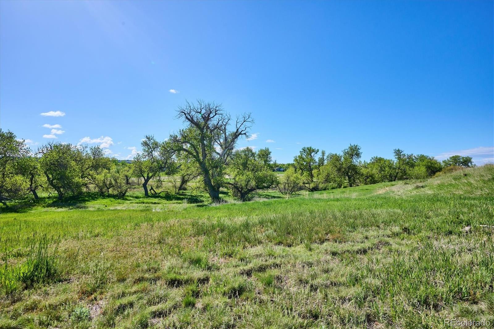 12657 Buckhorn Creek Street Parker CO 80134