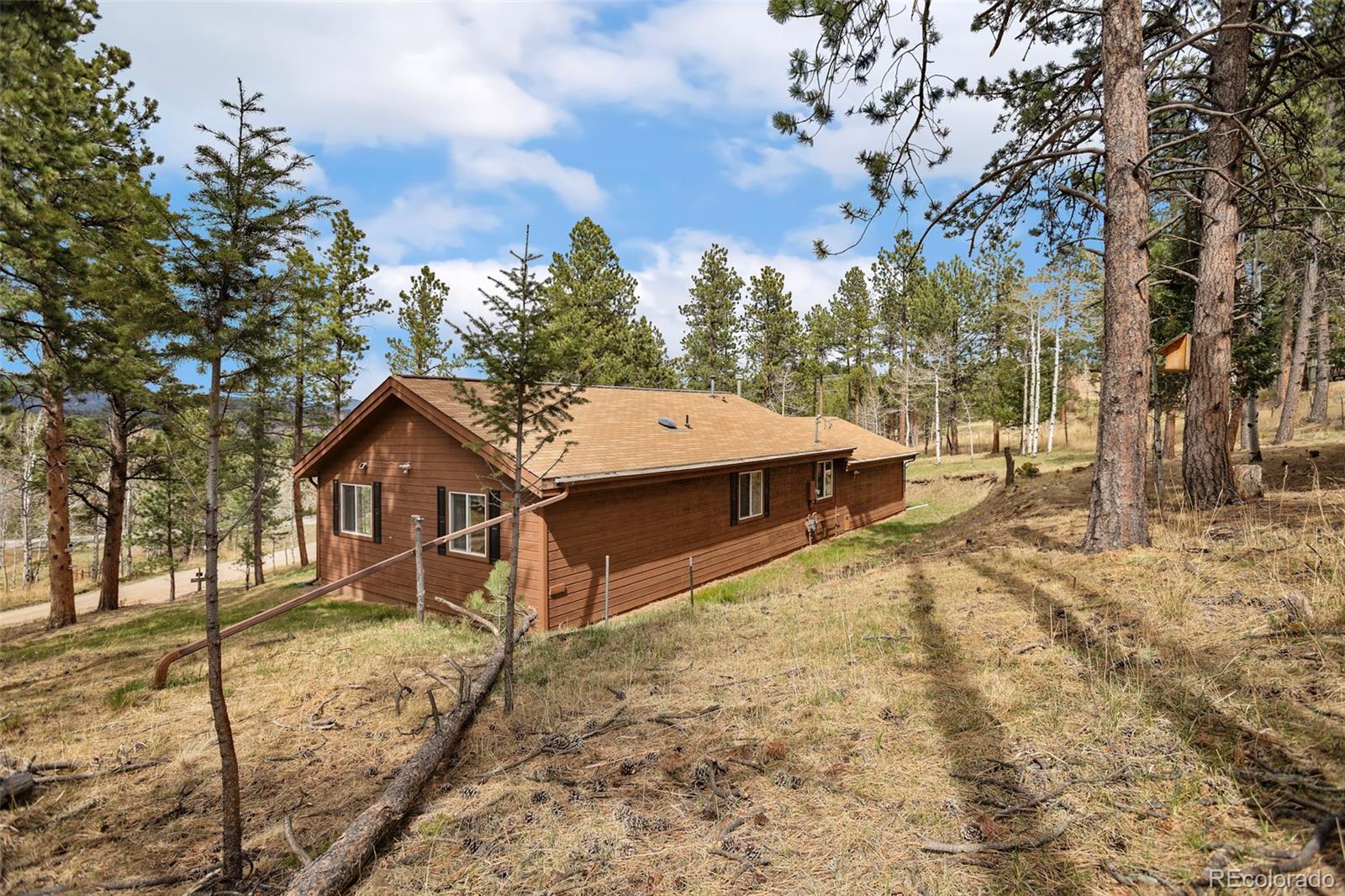 14 Aspen Drive Bailey CO 80421