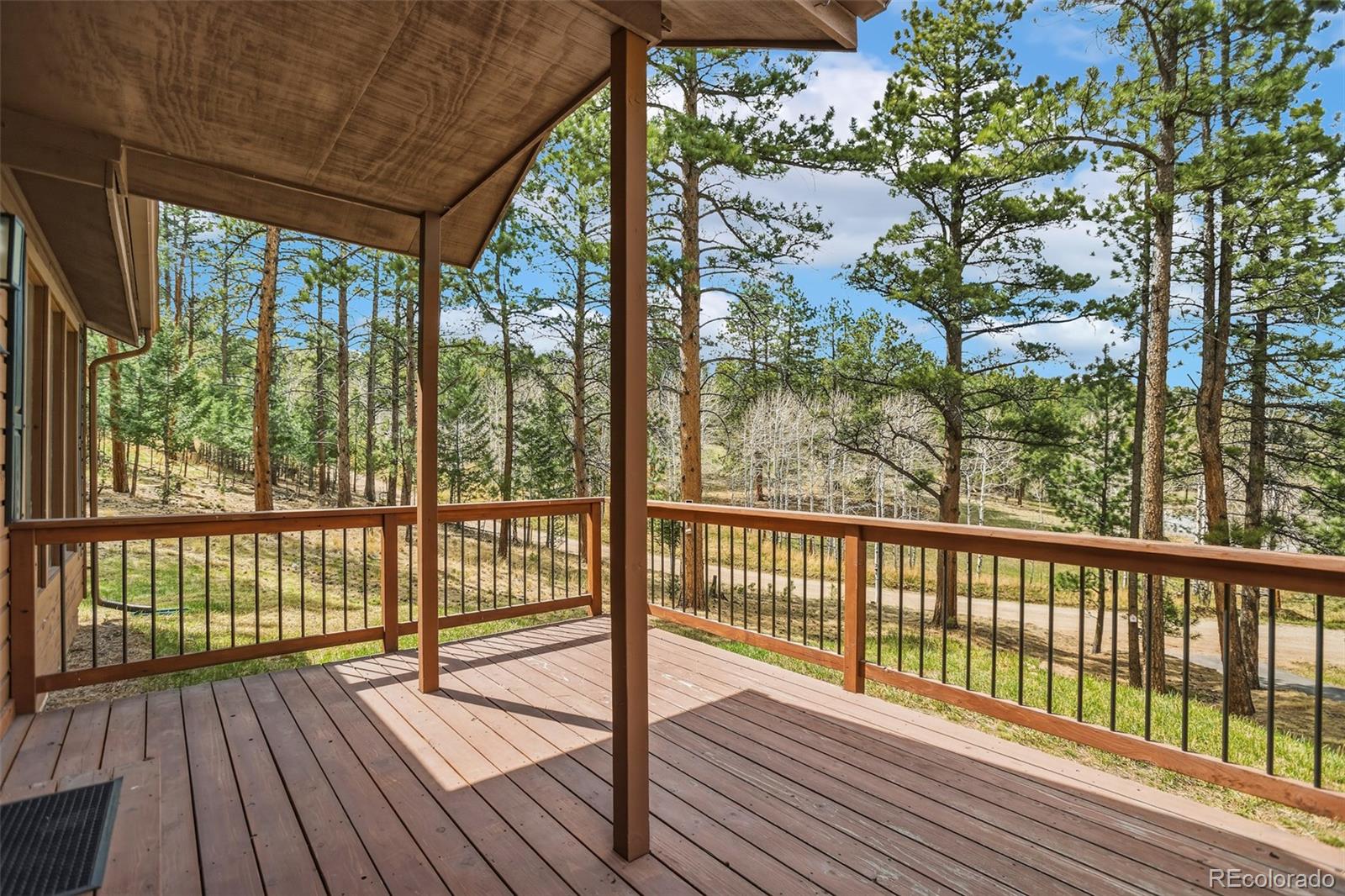 14 Aspen Drive Bailey CO 80421