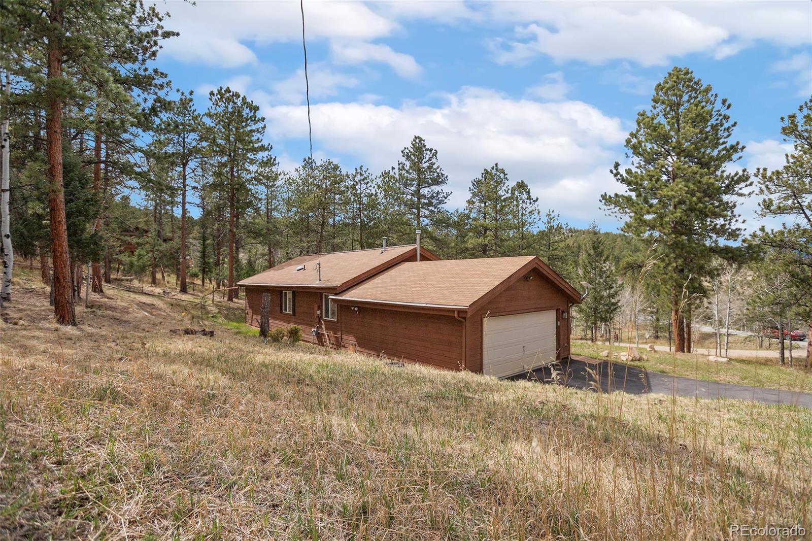 14 Aspen Drive Bailey CO 80421