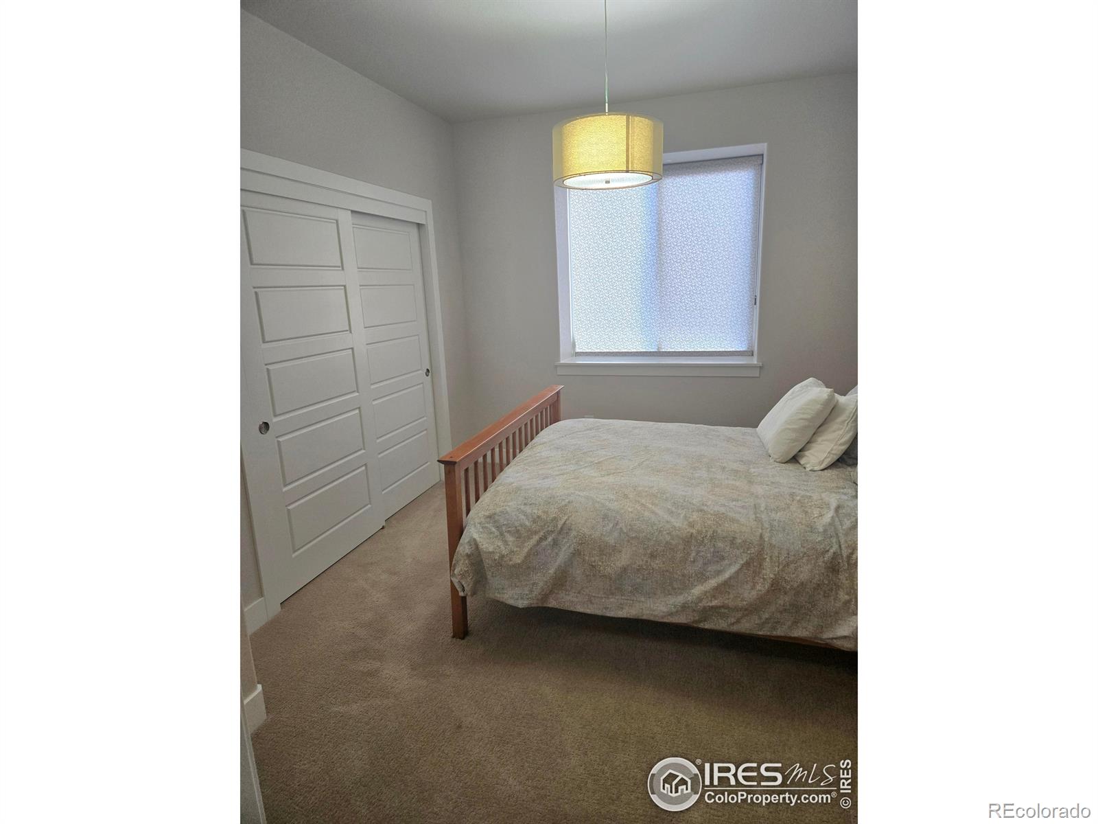 7292 Mcclellan Road Wellington CO 80549