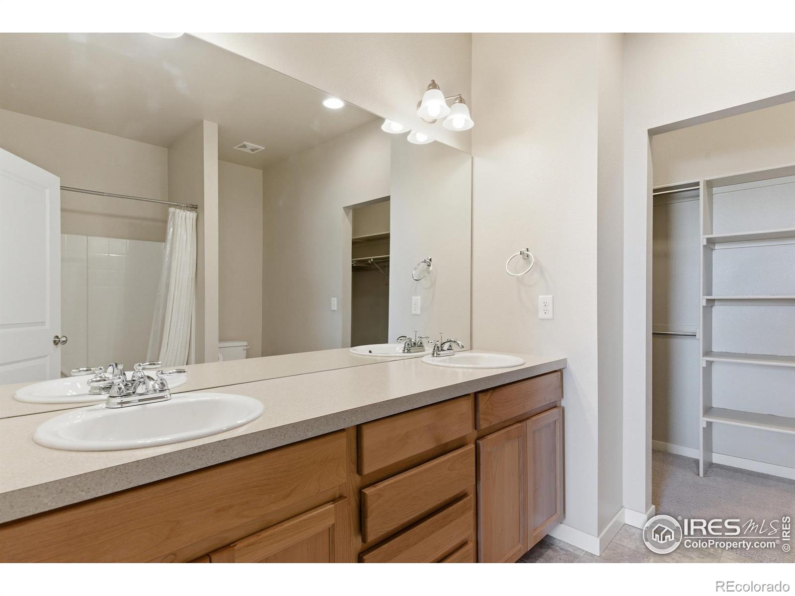 3836 Eucalyptus Street Wellington CO 80549