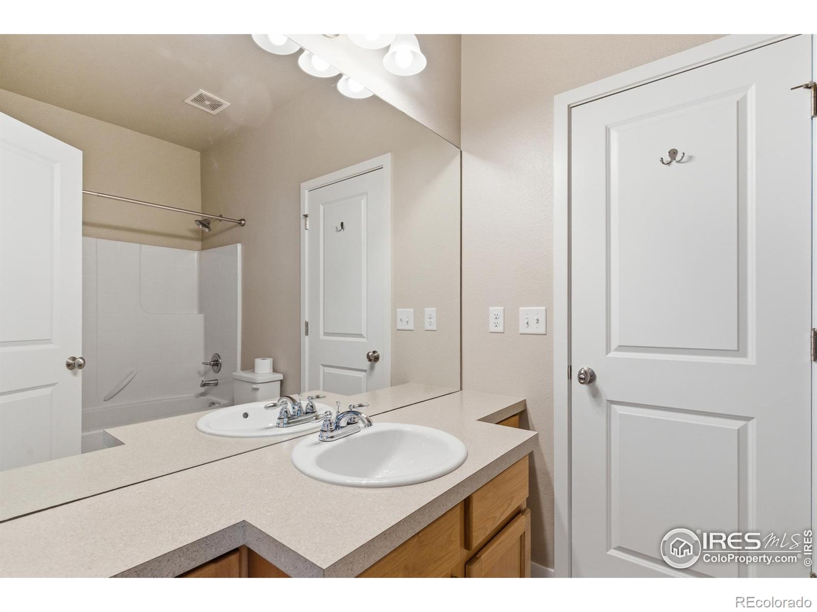 3836 Eucalyptus Street Wellington CO 80549