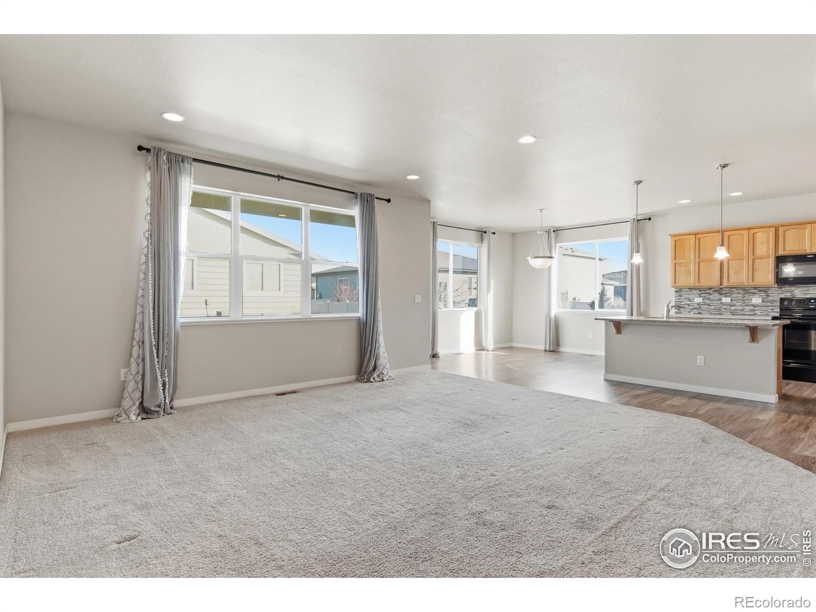 3836 Eucalyptus Street Wellington CO 80549