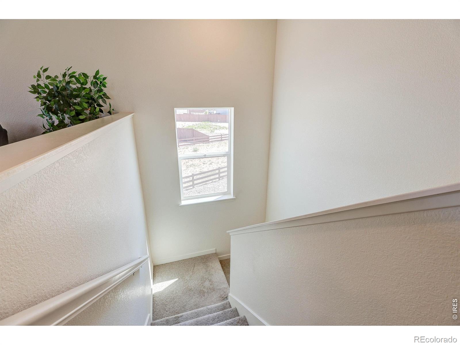 2744 Wren Drive Johnstown CO 80534