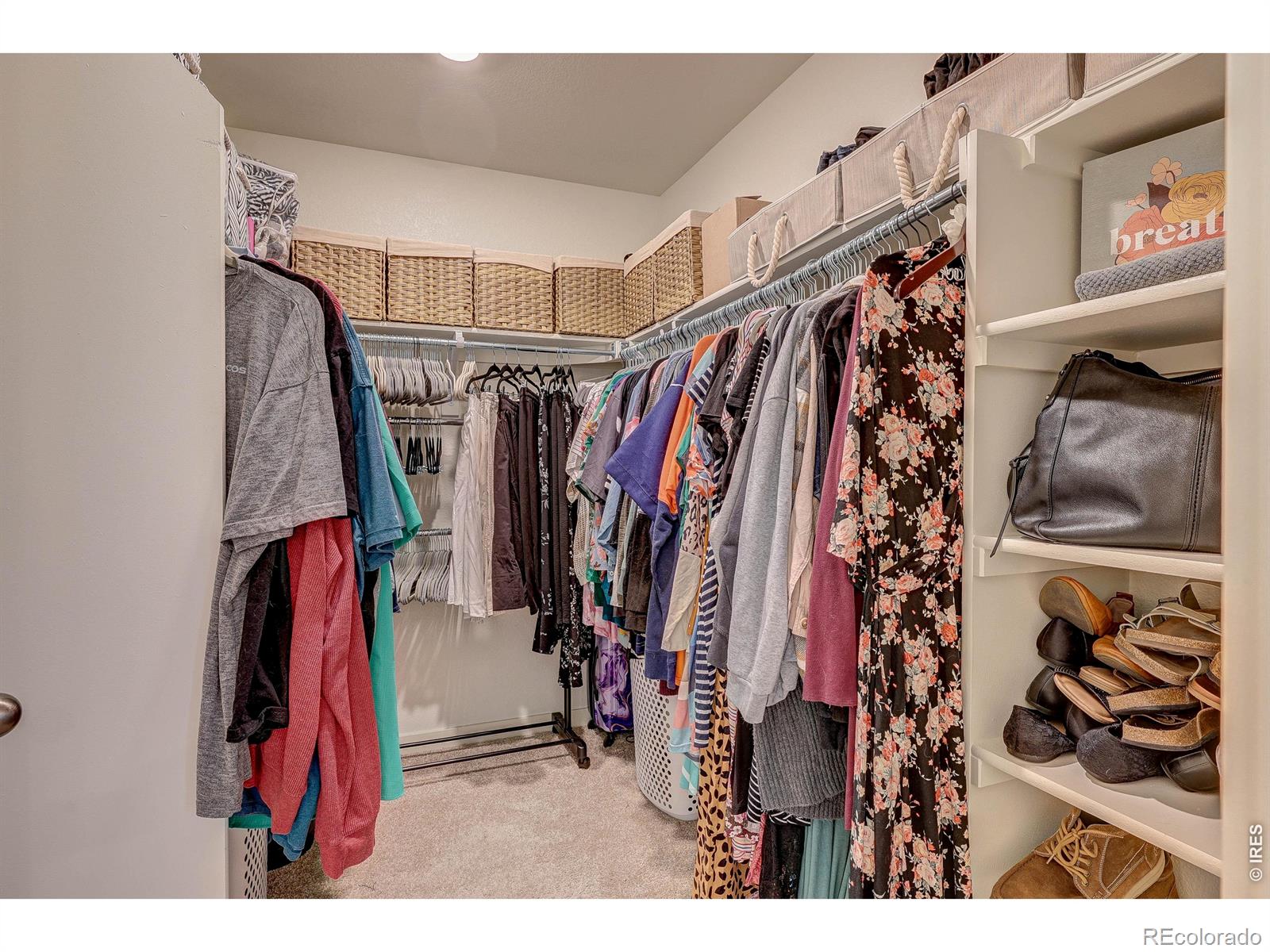 2744 Wren Drive Johnstown CO 80534