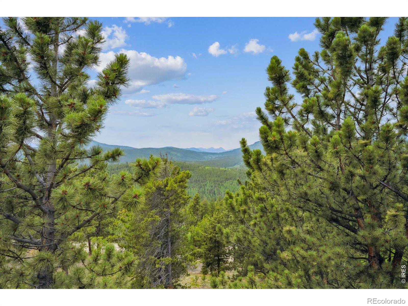 35 Pickle Point Black Hawk CO 80422