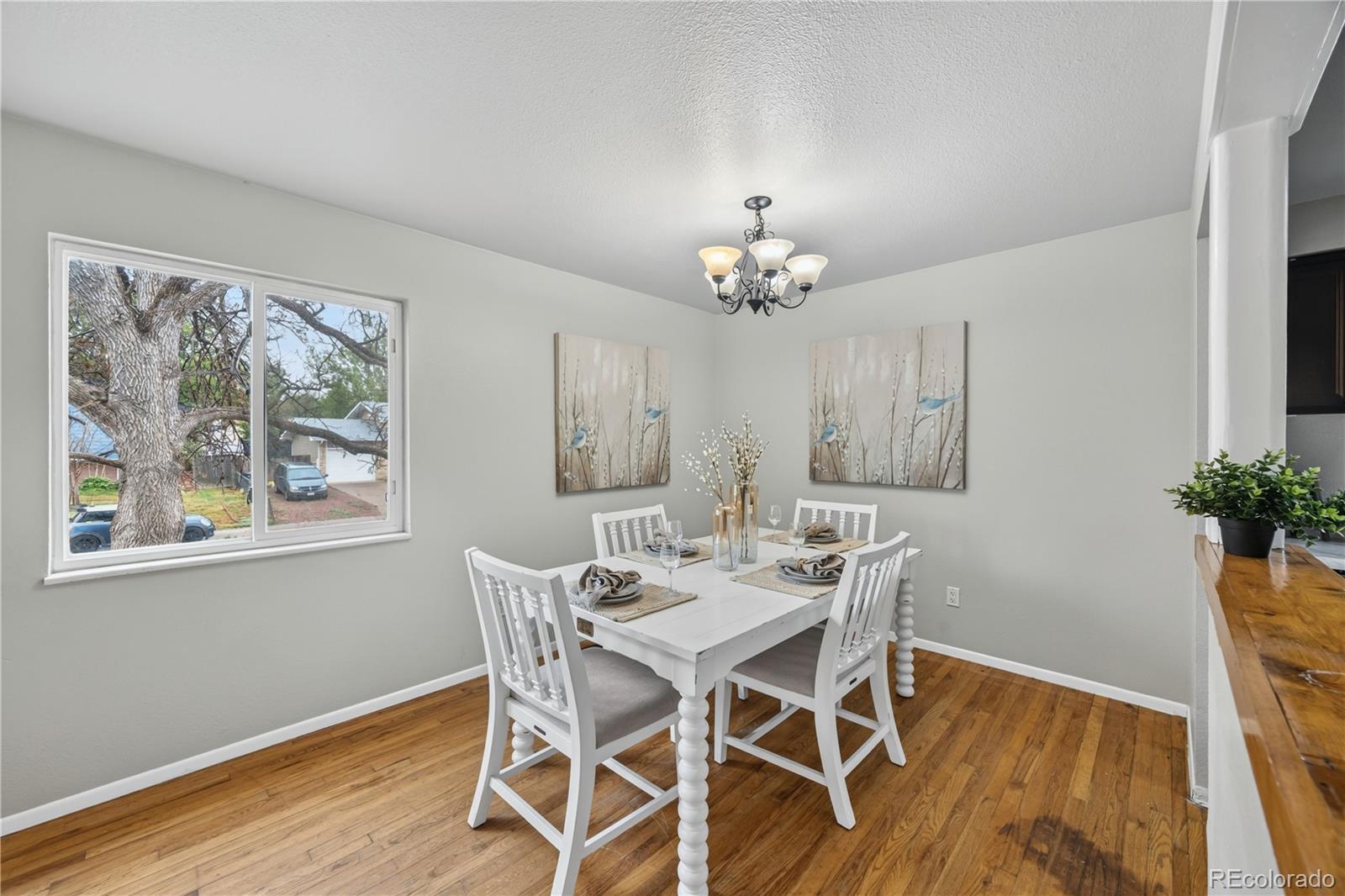 1026 Drury Lane Colorado Springs CO 80911