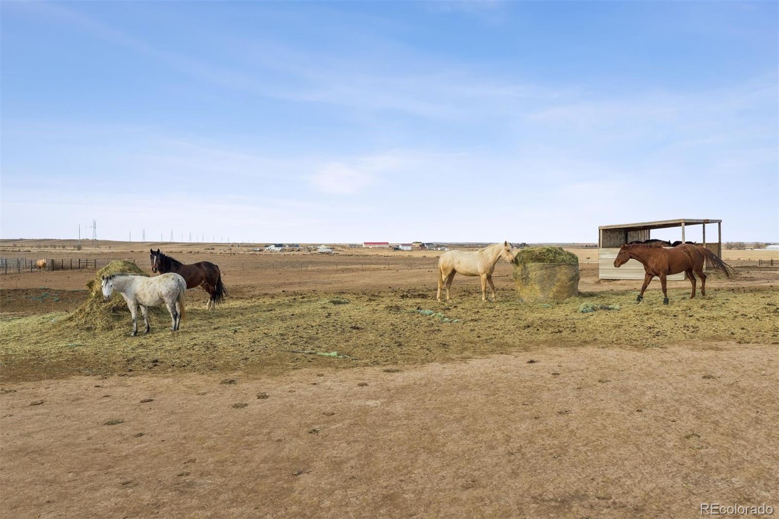 13013 County Road 86 Pierce CO 80650