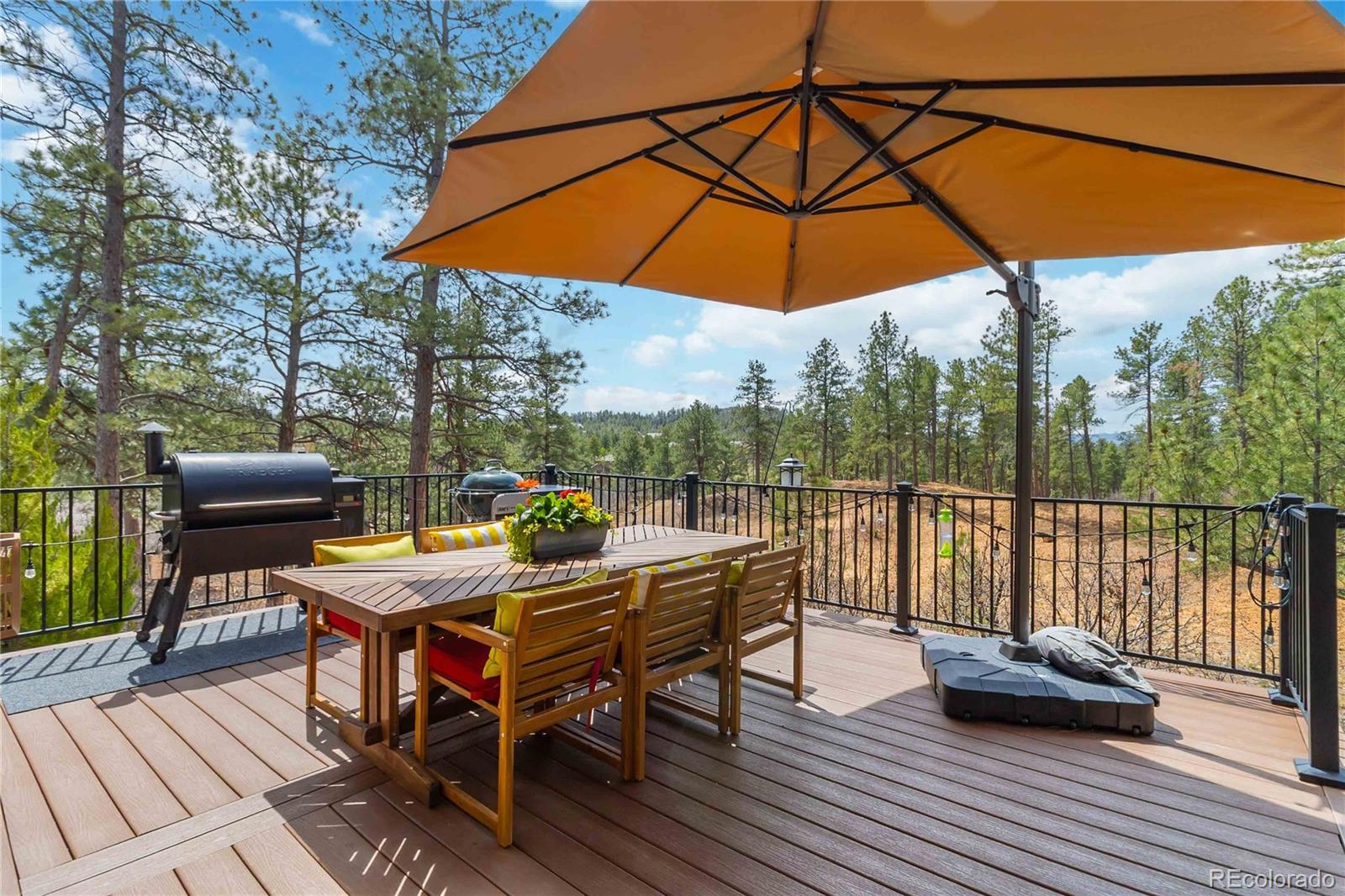 1600 Knotty Pine Way Castle Rock CO 80108
