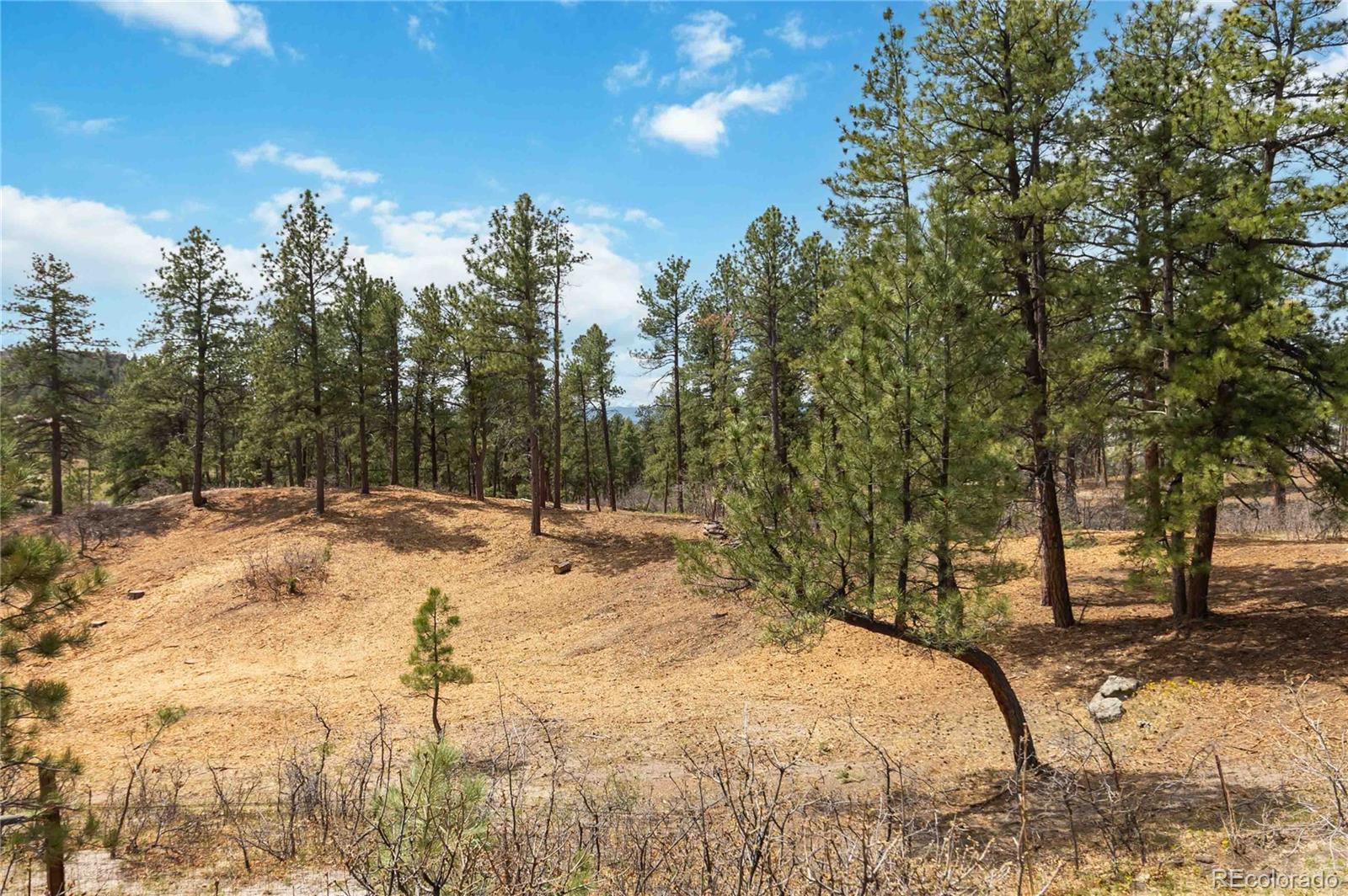 1600 Knotty Pine Way Castle Rock CO 80108