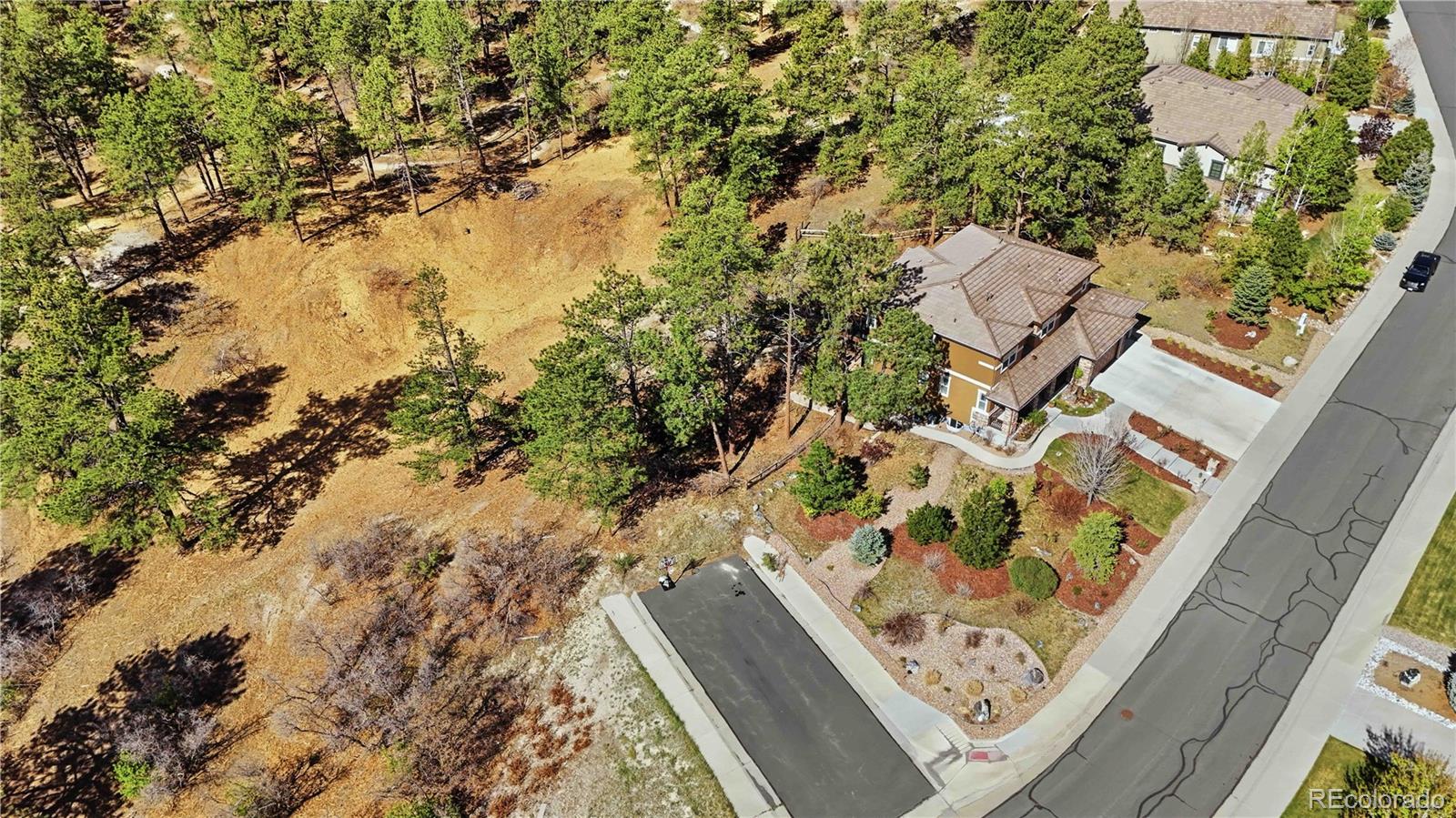 1600 Knotty Pine Way Castle Rock CO 80108