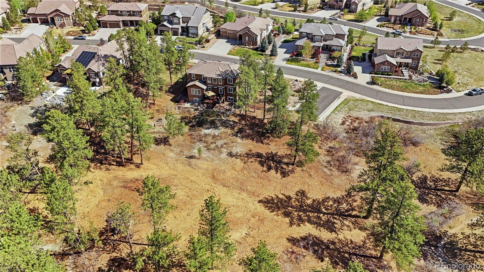 1600 Knotty Pine Way Castle Rock CO 80108
