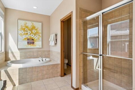 915 Tarpan Place Castle Rock CO 80104