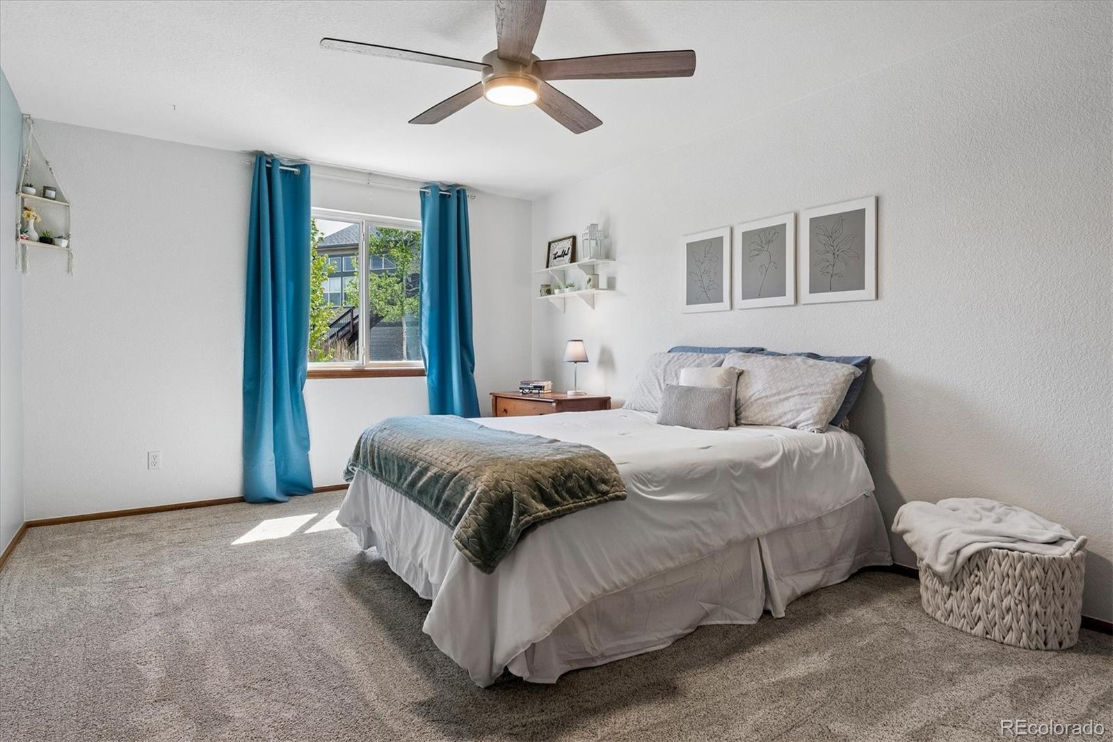 915 Tarpan Place Castle Rock CO 80104