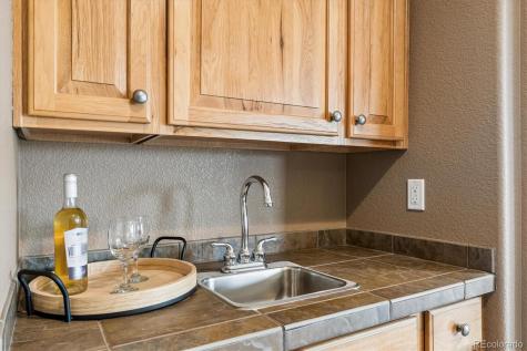 915 Tarpan Place Castle Rock CO 80104