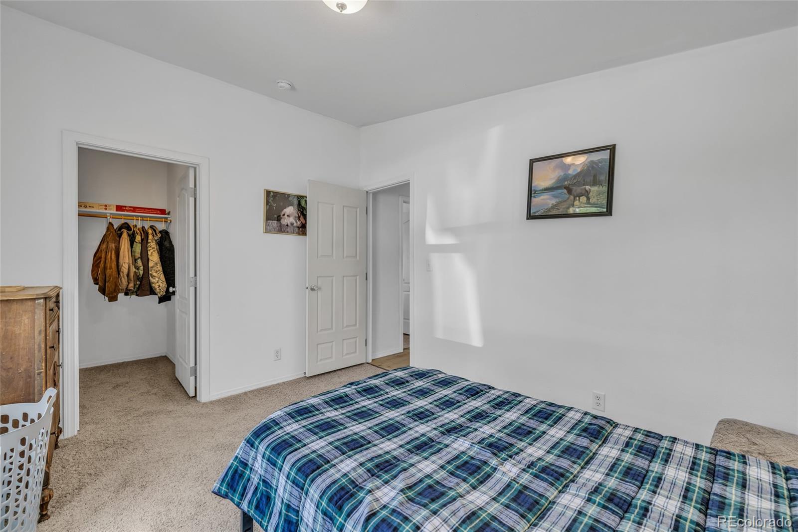 336 Lilac Circle Lochbuie CO 80603